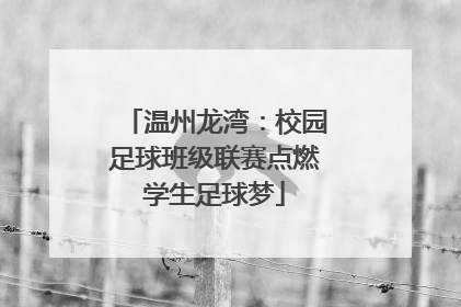 温州龙湾：校园足球班级联赛点燃学生足球梦