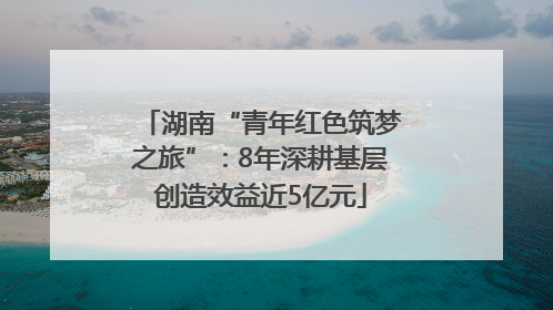 湖南“青年红色筑梦之旅”：8年深耕基层创造效益近5亿元