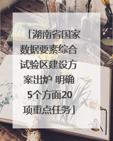 湖南省国家数据要素综合试验区建设方案出炉 明确5个方面20项重点任务