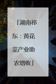 湖南祁东：黄花菜产业助农增收