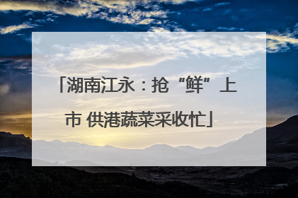湖南江永：抢“鲜”上市 供港蔬菜采收忙