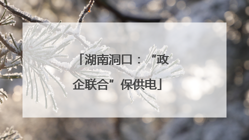 湖南洞口：“政企联合”保供电