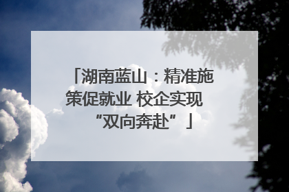 湖南蓝山：精准施策促就业 校企实现“双向奔赴”