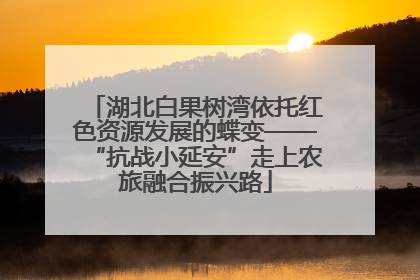 湖北白果树湾依托红色资源发展的蝶变——“抗战小延安”走上农旅融合振兴路
