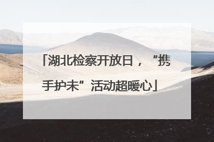 湖北检察开放日，“携手护未”活动超暖心