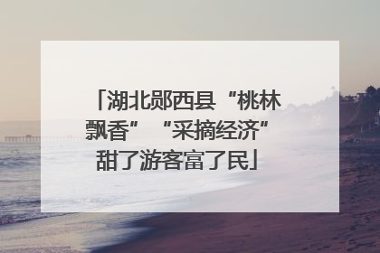 湖北郧西县“桃林飘香”“采摘经济”甜了游客富了民