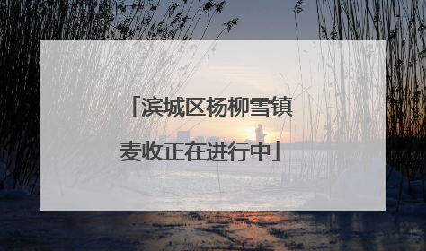滨城区杨柳雪镇麦收正在进行中