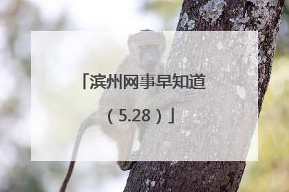 滨州网事早知道（5.28）