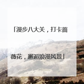 漫步八大关，打卡蔷薇花，邂逅浪漫风景