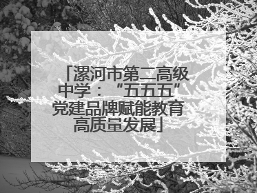 漯河市第二高级中学：“五五五”党建品牌赋能教育高质量发展