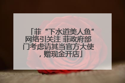 菲“下水道美人鱼”网络引关注 菲政府部门考虑请其当官方大使，赠现金开店