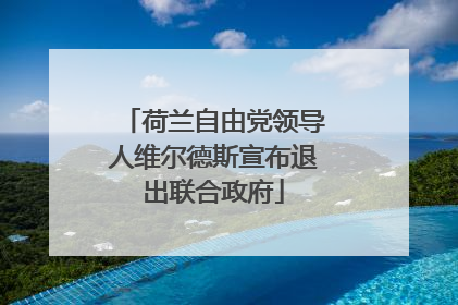 荷兰自由党领导人维尔德斯宣布退出联合政府