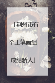 荆州市有个工笔画组成绩骄人