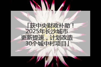 获中央财政补助！2025年长沙城市更新提速，计划改造30个城中村项目