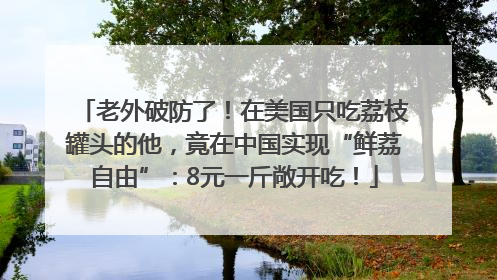 老外破防了！在美国只吃荔枝罐头的他，竟在中国实现“鲜荔自由”：8元一斤敞开吃！
