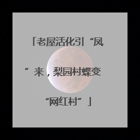老屋活化引“凤”来，梨园村蝶变“网红村”