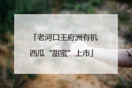 老河口王府洲有机西瓜“甜蜜”上市