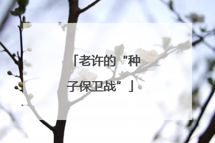 老许的“种子保卫战”