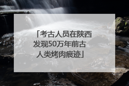 考古人员在陕西发现50万年前古人类烤肉痕迹
