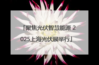 聚焦光伏智慧能源 2025上海光伏展举行
