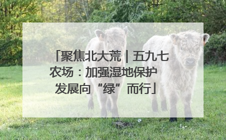 聚焦北大荒｜五九七农场：加强湿地保护 发展向“绿”而行