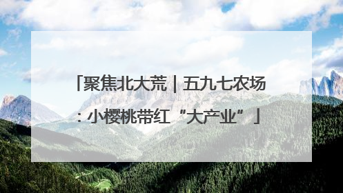 聚焦北大荒｜五九七农场：小樱桃带红“大产业”