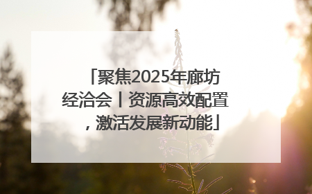 聚焦2025年廊坊经洽会丨资源高效配置，激活发展新动能