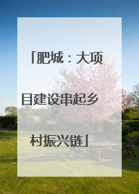 肥城：大项目建设串起乡村振兴链