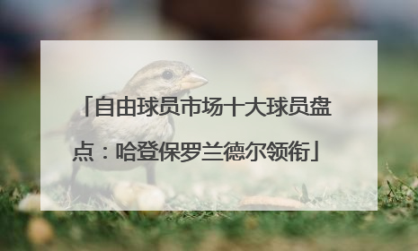 自由球员市场十大球员盘点：哈登保罗兰德尔领衔