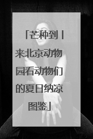 芒种到丨来北京动物园看动物们的夏日纳凉图鉴