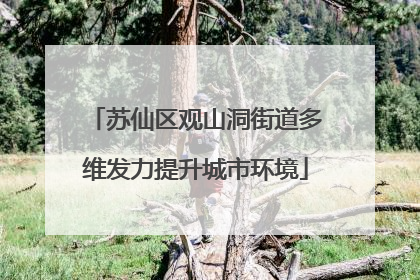 苏仙区观山洞街道多维发力提升城市环境