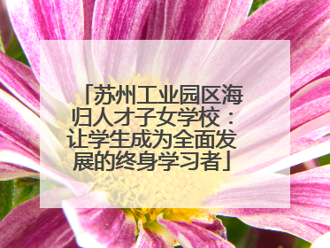 苏州工业园区海归人才子女学校：让学生成为全面发展的终身学习者