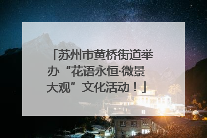 苏州市黄桥街道举办“花语永恒·微景大观”文化活动！