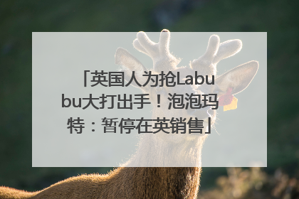 英国人为抢Labubu大打出手！泡泡玛特：暂停在英销售