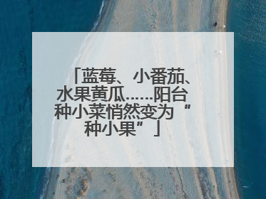 蓝莓、小番茄、水果黄瓜……阳台种小菜悄然变为“种小果”