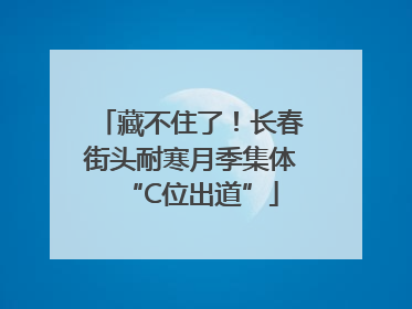藏不住了！长春街头耐寒月季集体“C位出道”