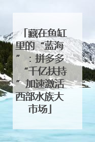 藏在鱼缸里的“蓝海”：拼多多“千亿扶持”加速激活西部水族大市场