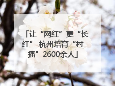 让“网红”更“长红” 杭州培育“村播”2600余人
