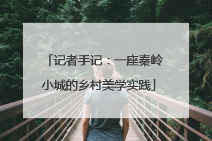 记者手记：一座秦岭小城的乡村美学实践