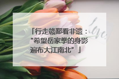 行走赣鄱看非遗：“希望岳家拳的身影遍布大江南北”