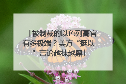 被制裁的以色列高官有多极端？美方“挺以”言论越抹越黑