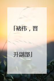 褚伟，晋升副部