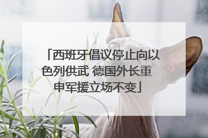 西班牙倡议停止向以色列供武 德国外长重申军援立场不变