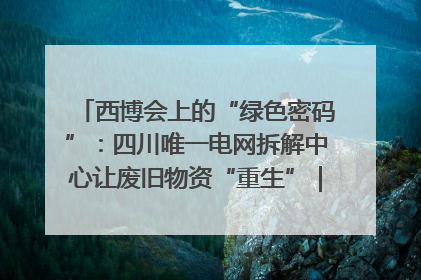 西博会上的“绿色密码”：四川唯一电网拆解中心让废旧物资“重生”｜西博寻“新”记