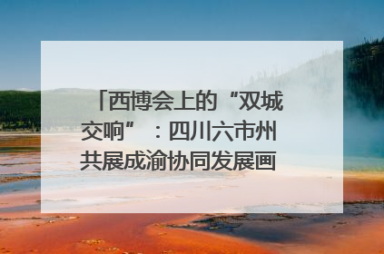西博会上的“双城交响”：四川六市州共展成渝协同发展画卷｜西博视界