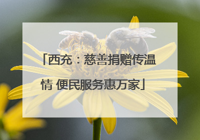 西充：慈善捐赠传温情 便民服务惠万家