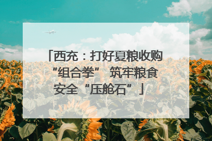 西充：打好夏粮收购“组合拳” 筑牢粮食安全“压舱石”