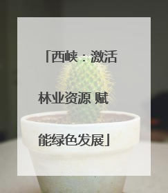 西峡：激活林业资源 赋能绿色发展