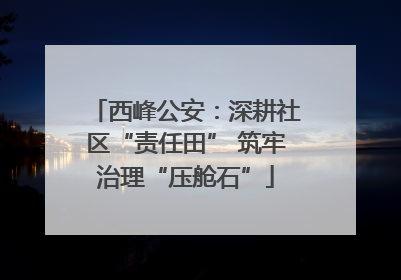 西峰公安：深耕社区“责任田” 筑牢治理“压舱石”