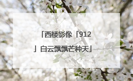 西楼影像「912」白云飘飘芒种天